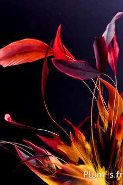 Haan zweep Body Split - 23-28 cm - zwart-rood-bruin-geel